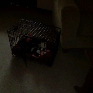 Meet your Posher, Tamika